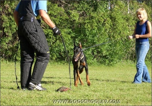 Summer training camp in Estonia 2007